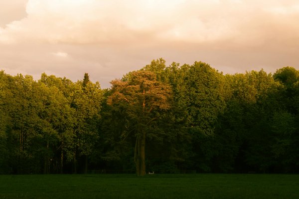 Atteindre ses objectifs minceur grâce à la cuisine diététique